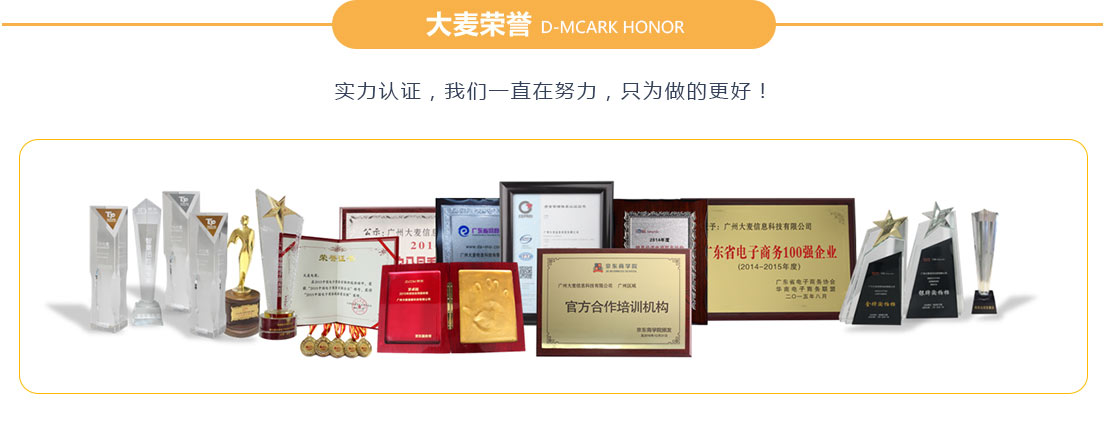 亚马逊全球开店代运营,美国亚马逊,欧洲日本亚马逊,广州亚马逊代运营公司