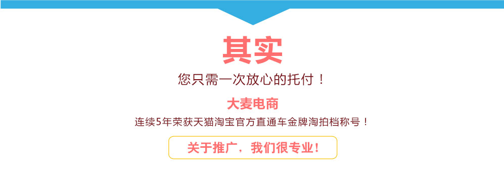 广州大麦直通车代运营托管服务