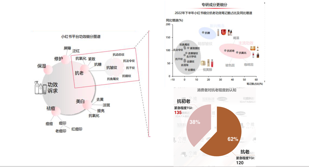 广州大麦