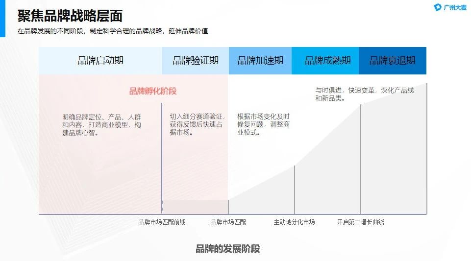广州大麦电商