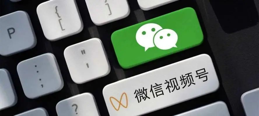 广州大麦